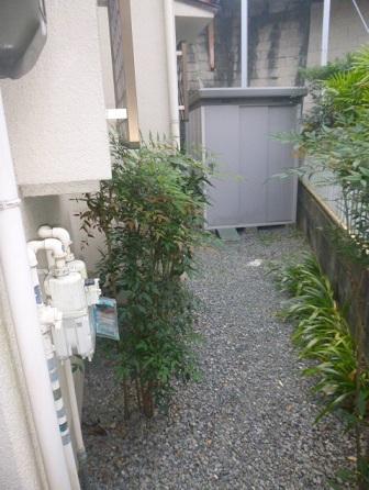 Other local. Please feel free to preview