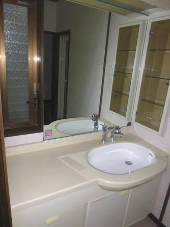 Wash basin, toilet. I'm happy big mirror