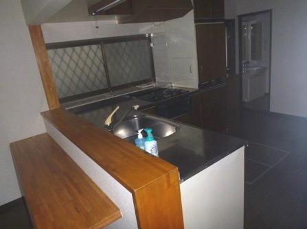 Kitchen. Popular counter kitchen