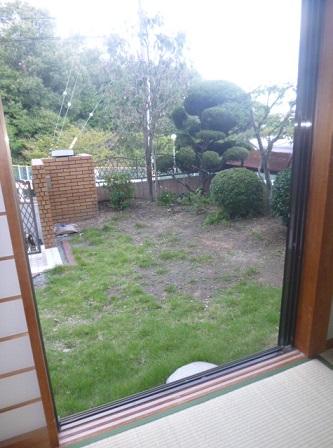 Garden. The garden is very open! We also attentive care