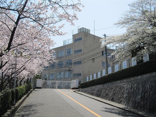 Other. Ninth junior high school