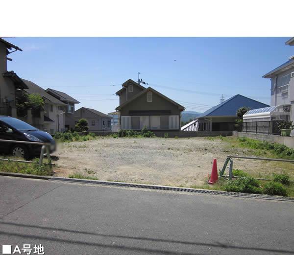 Local land photo. Local (May 2013) Shooting