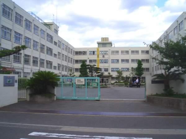 Junior high school. Article 950m up to junior high school