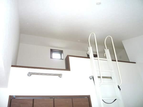 Other introspection. loft