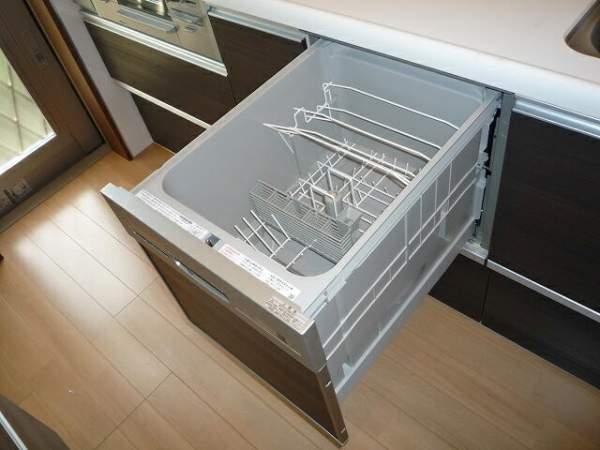 Other introspection. Slide open dishwasher