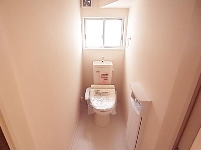 Toilet. Easy to clean functional toilet