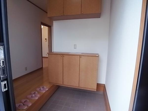 Entrance. Spacious entrance at any time with storage