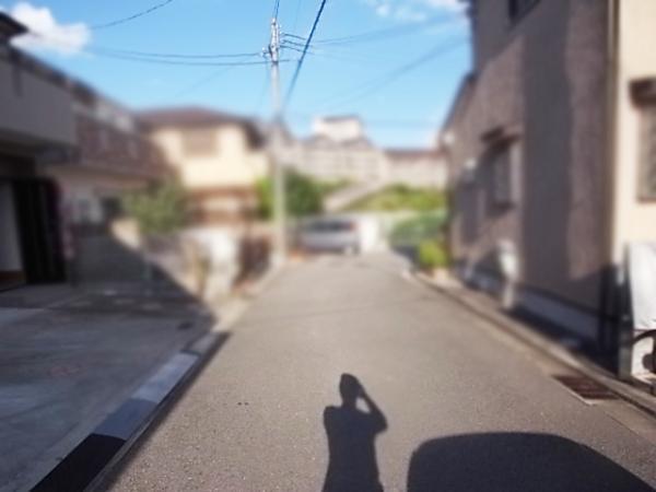 Local photos, including front road. Frontal road