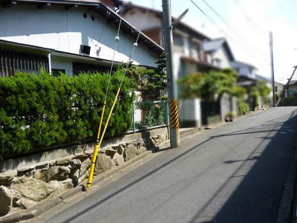 Local photos, including front road