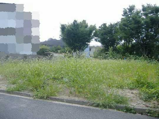 Local land photo. Local Photos (1)