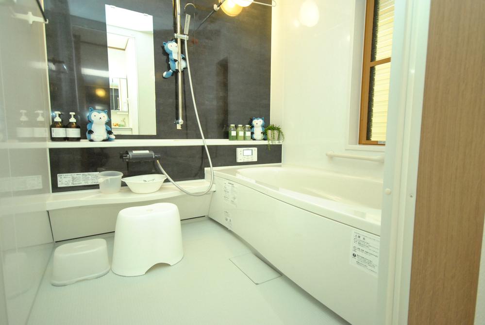 Bathroom. Indoor (12 May 2013) Shooting