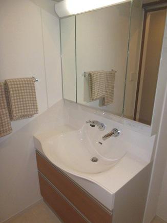 Wash basin, toilet. Thank basin storage space with plenty