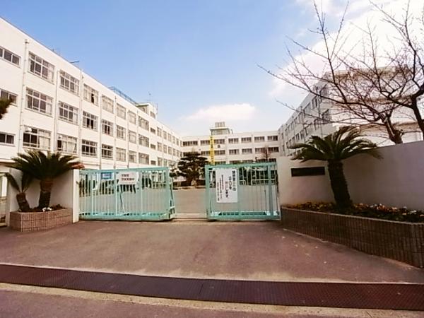 Junior high school. Tenth 1129m up to junior high school