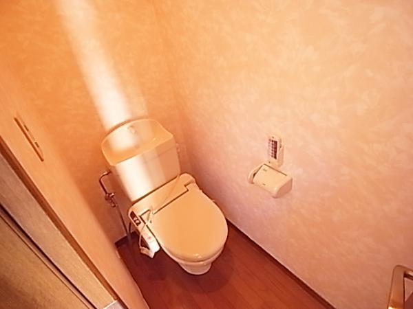 Toilet. Functional toilets