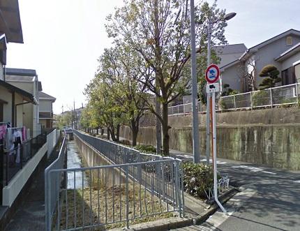 Other. Neighborhood landscape