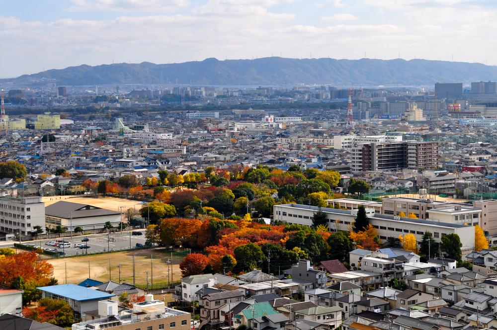 Hill photo. View of the ruins of a castle park (by the city comprehensive outlook floor)