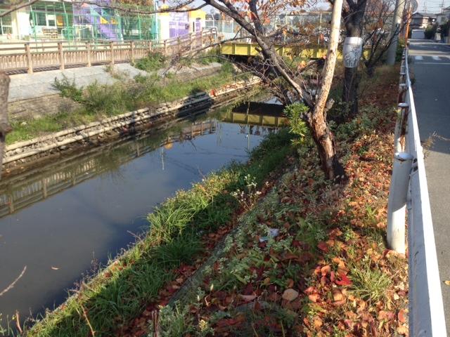 Other local. Local (12 May 2013) Shooting