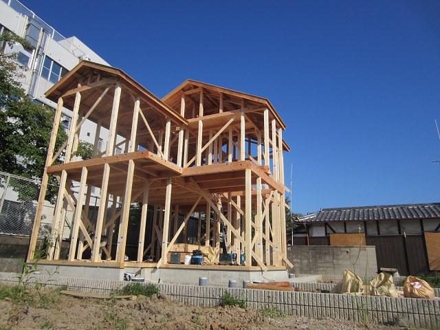 Local appearance photo. Local (September 2013) Shooting