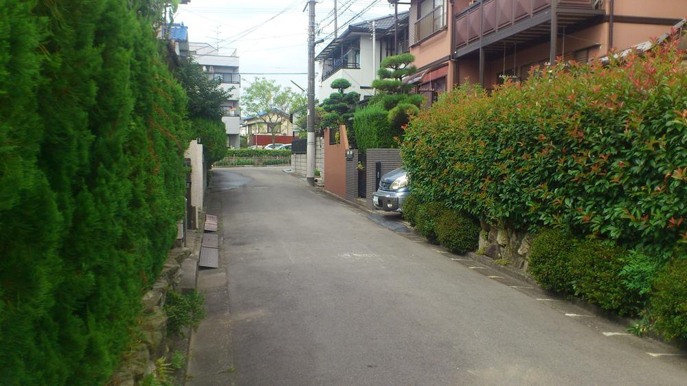 Local photos, including front road. Local (10 May 2013) Shooting