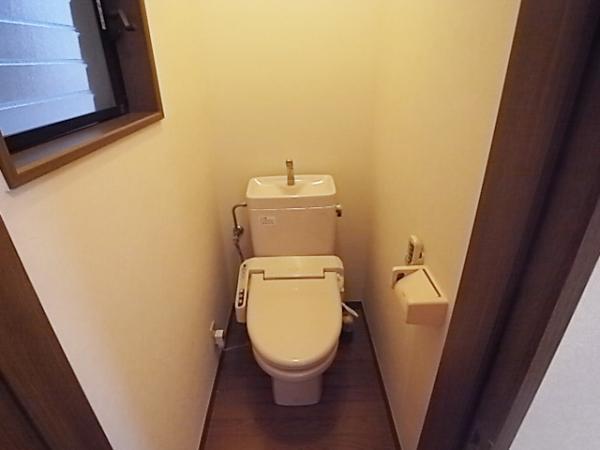 Toilet. Easy to clean and clean toilet