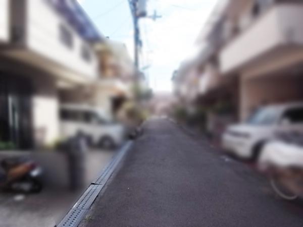 Local photos, including front road. Frontal road