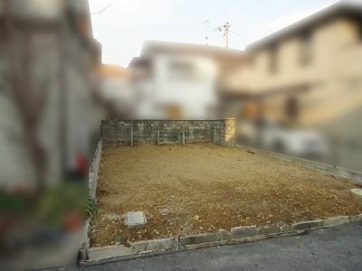 Local land photo. Local (12 May 2013) Shooting