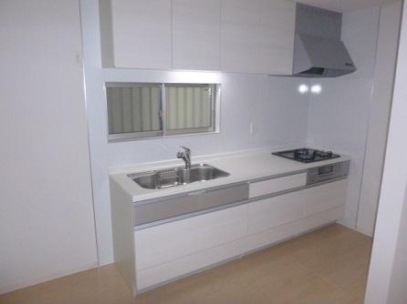 Kitchen. Dishwasher, etc., Additional options can be selected (separate additional cost)