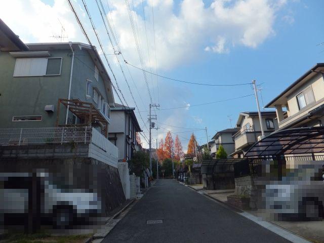 Local photos, including front road. road