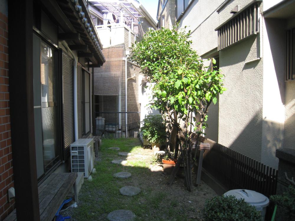 Garden. Local (July 2013) Shooting