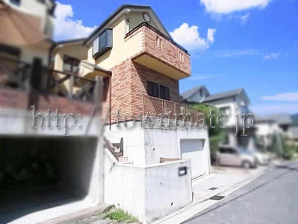 Local appearance photo. Appearance 2