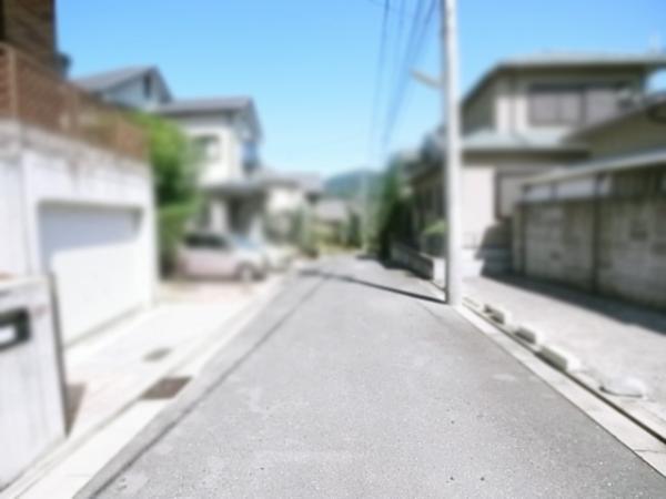 Local photos, including front road. Frontal road