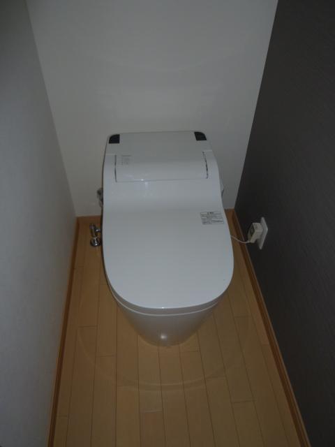 Toilet. Indoor (June 2013) Shooting