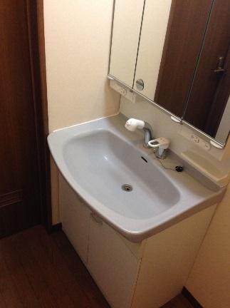 Wash basin, toilet. Glad Shampoo dresser