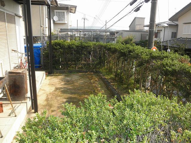 Garden. Local (10 May 2013) Shooting