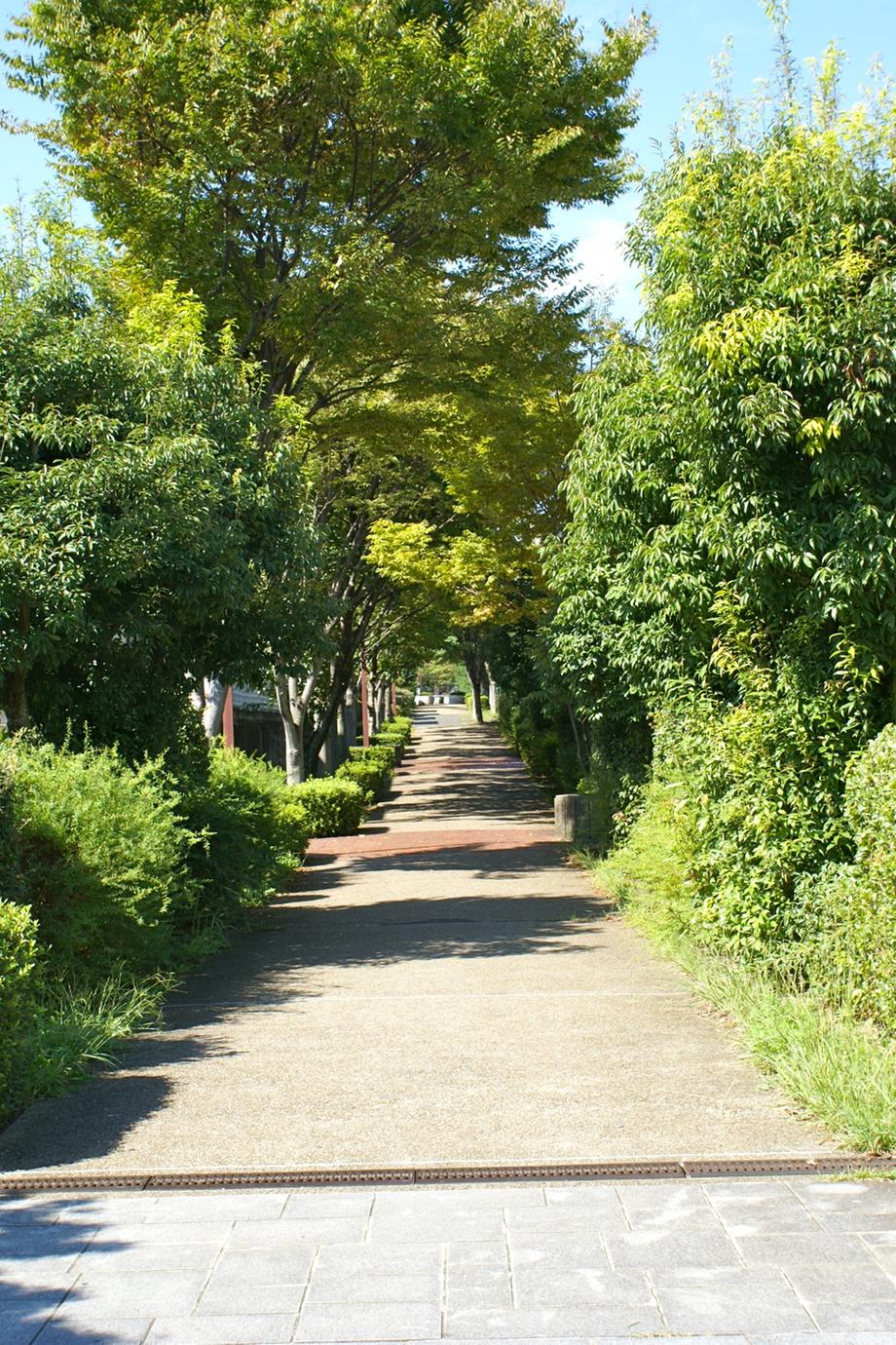Streets around. 100m to lush promenade