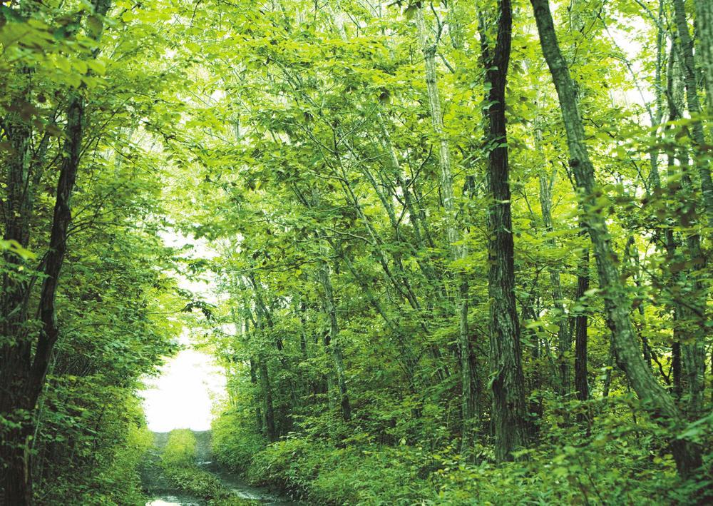 Other. Welcome to our house that Yorisoeru many years to the elderly from the "universal design" baby.