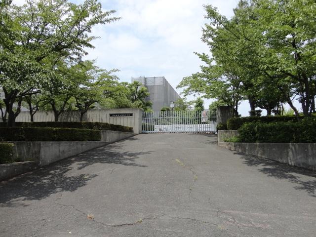 Junior high school. Tondabayashi Municipal Katsuragi until junior high school 1100m