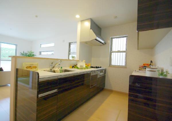 Kitchen. The face-to-face kitchen marked with a cupboard.  (Same specifications)