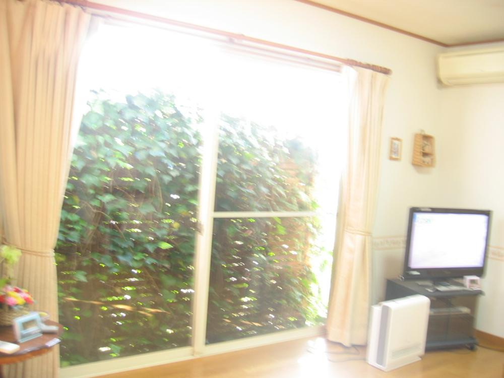 Living. Indoor (04 May 2013) Shooting