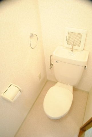 Toilet. A clean toilet.
