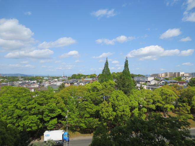View photos from the dwelling unit. View from local