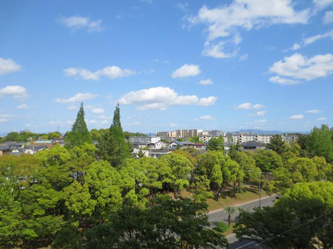 View photos from the dwelling unit. View from local