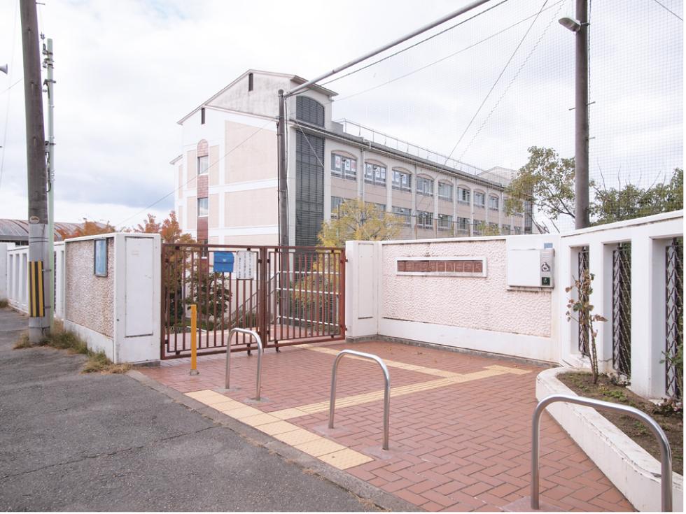 Junior high school. Article 550m up to eight junior high school