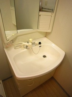 Washroom. Shampoo dresser