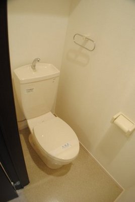 Toilet. A clean toilet. 