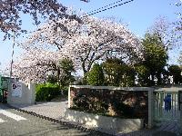 Junior high school. 210m until the second junior high school