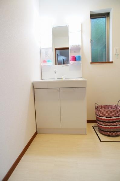 Wash basin, toilet. Vanity (with shower)