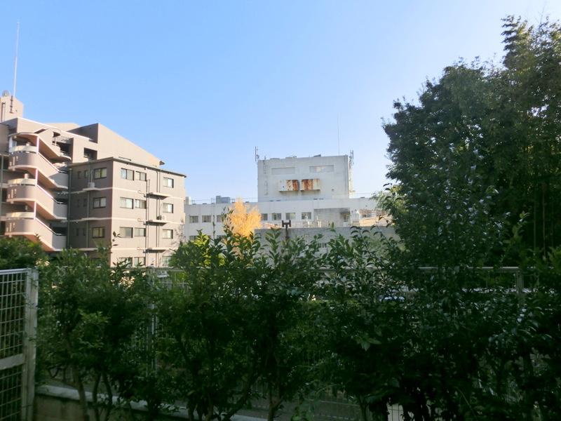 View photos from the dwelling unit. Is the view from the balcony. Many green, The building in front of the eye, Hospital is.