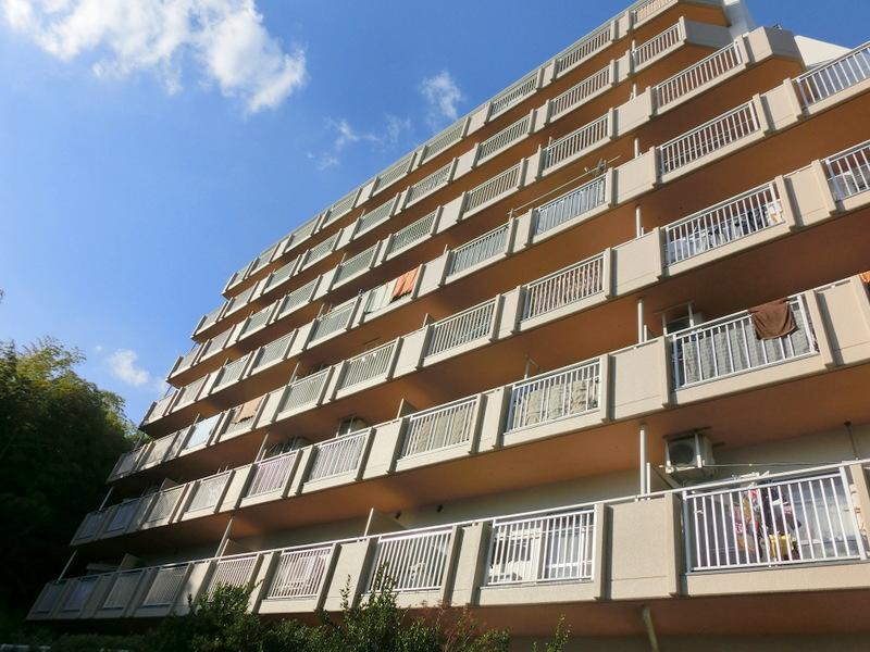 Local appearance photo. This appearance photograph taken from the south side.