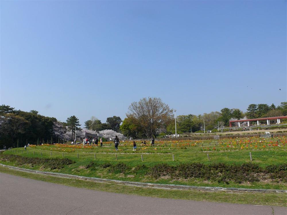 Other. A short walk to the popular Crane. It is also ideal for jogging and walk. There is also such as athletic and swimming pool, It is very popular for children.